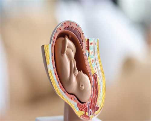 残角子宫切除后影响生育吗能不能做试管？